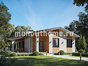 Проект дома Посейдон — 1